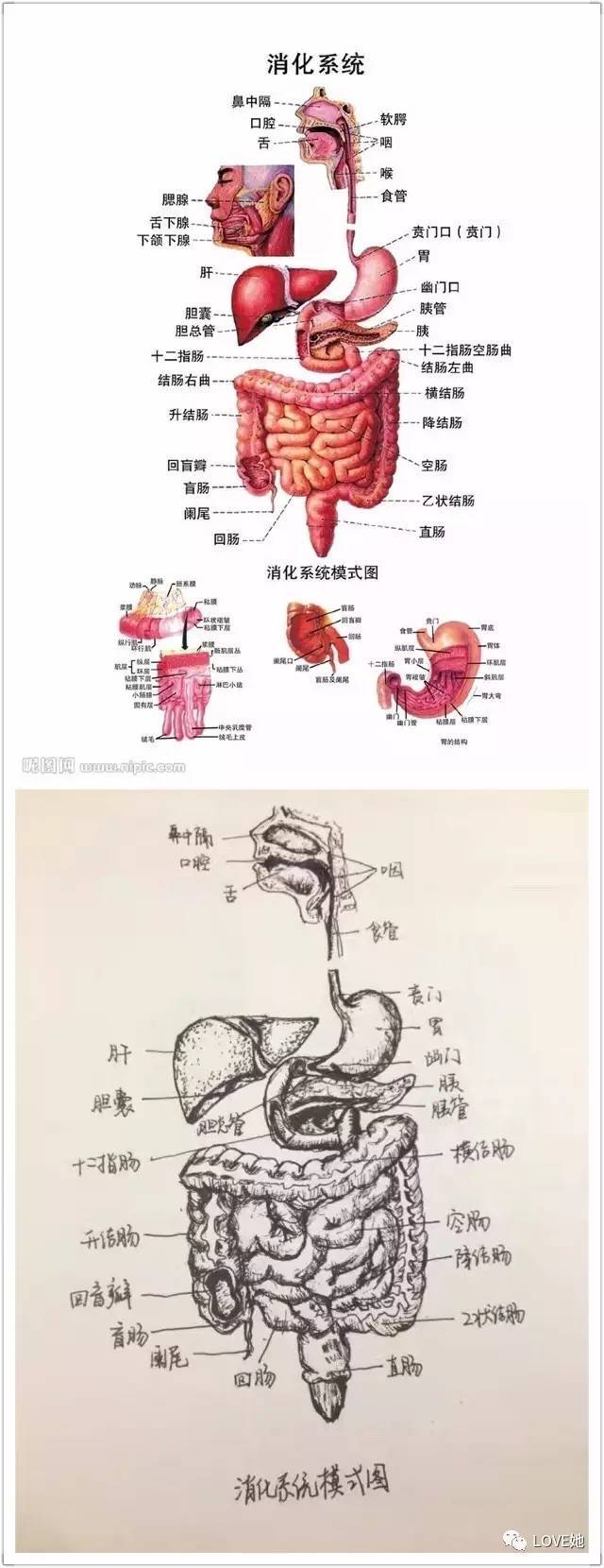 威尼斯wns·8885556